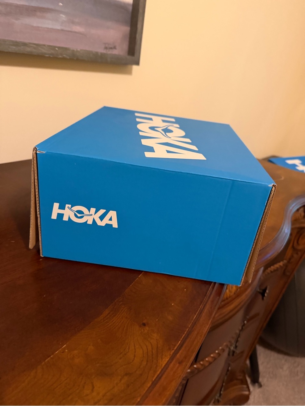 Hoka Bright Blue Shoe Storage Box - Stackable Organizer